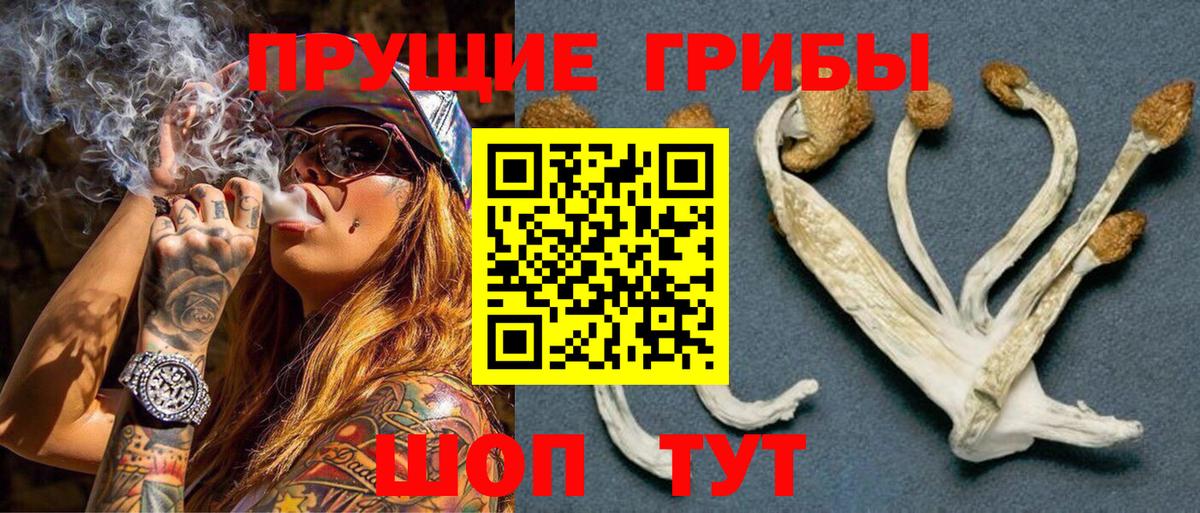 даркнет сайт  Псилоцибиновые грибы Magic Shrooms  Вход с VPN  Псилоцибиновые грибы Cubensis  Шарыпово 